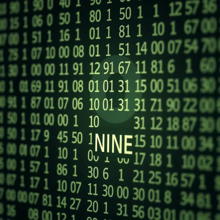 Binary Representation of the Decimal Nine Diagram showing the binary digits representing the decimal number nine