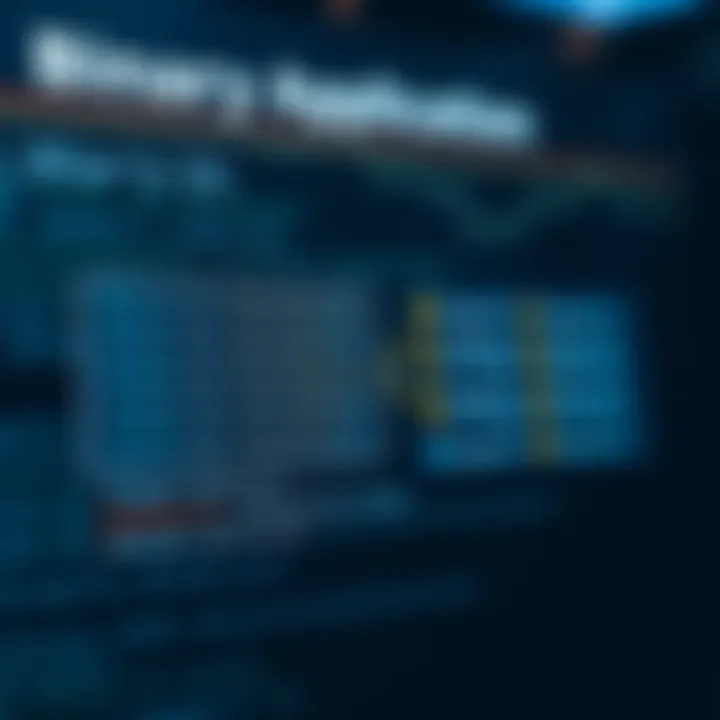 Diagram showing the structure of a binary application file with key sections highlighted