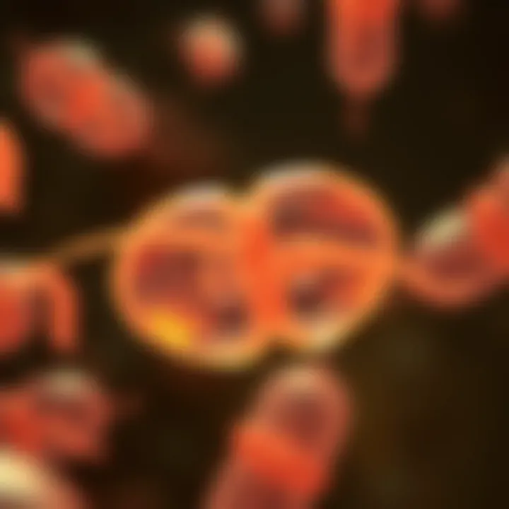 Bacterial Division Through Binary Fission Microscopic view of bacteria undergoing binary fission highlighting cell elongation and separation