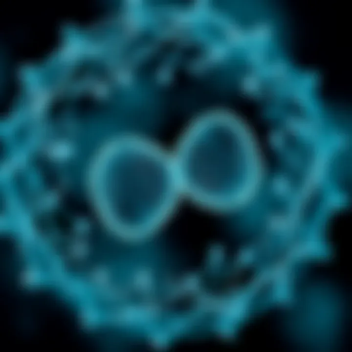Diagram showing division of a bacterial cell into two identical cells