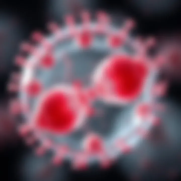 Diagram illustrating the division of a bacterial cell into two identical daughter cells through binary fission