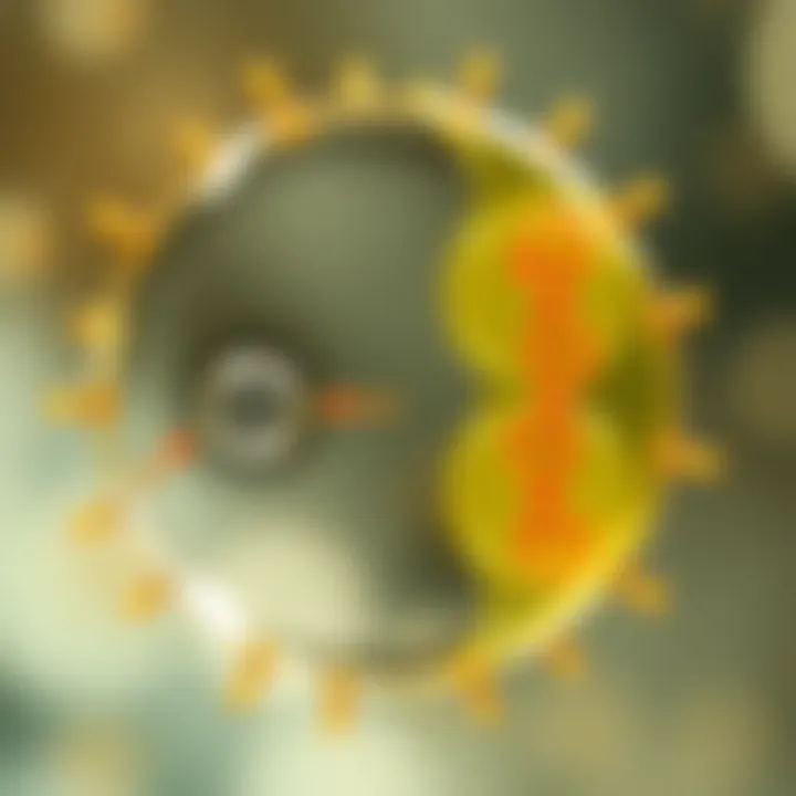 Stages of Binary Fission in Single-Celled Organisms Diagram illustrating the stages of binary fission in a single-celled organism showing cell growth, DNA replication, and division