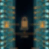 Diagram illustrating the flow of authentication in binary login systems