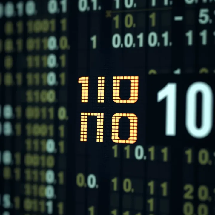 Understanding Binary Format: Basics and Uses